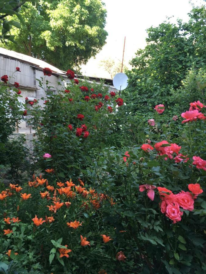 Vagudy Ave Zara Bed & Breakfast エクステリア 写真